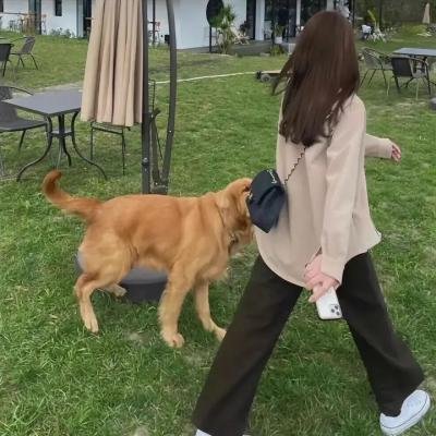 美丽新世界2：女王任务